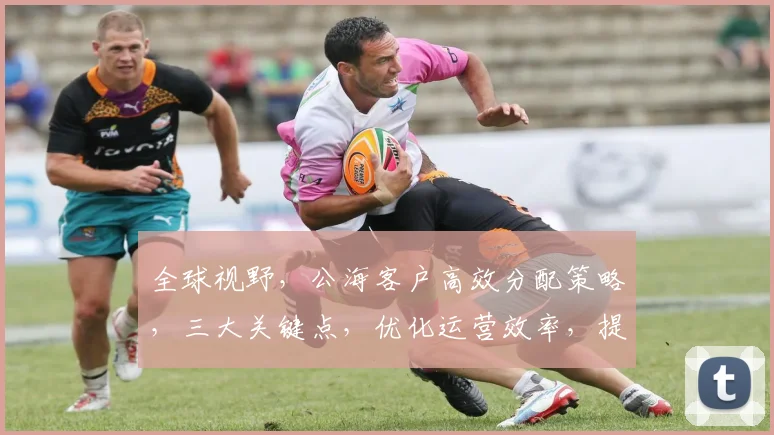 全球视野，公海客户高效分配策略，三大关键点，优化运营效率，提升企业竞争力