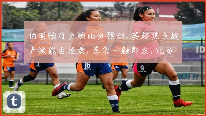 伯明翰对卢顿比分预测,英超焦点战卢顿能否逆袭,悬念一触即发,比分几何