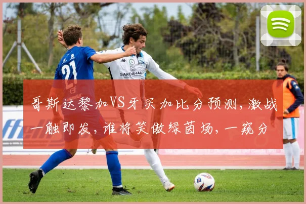 哥斯达黎加VS牙买加比分预测,激战一触即发,谁将笑傲绿茵场,一窥分晓