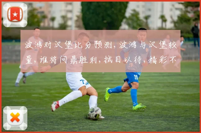 波鸿对汉堡比分预测,波鸿与汉堡较量,谁将问鼎胜利,拭目以待,精彩不容错过。